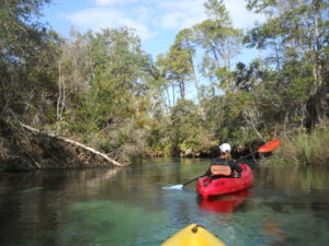 Beautiful Weeki Wachee River